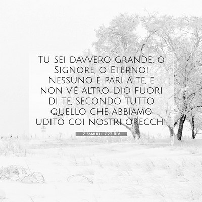 2 Samuele 7:22 RIV Immagine del Versetto della Bibbia