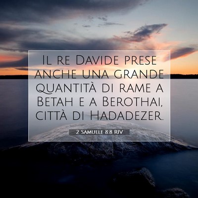2 Samuele 8:8 RIV Immagine del Versetto della Bibbia