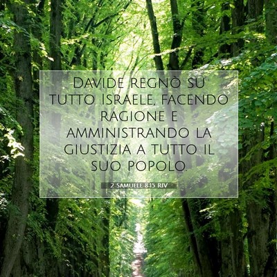 2 Samuele 8:15 RIV Immagine del Versetto della Bibbia