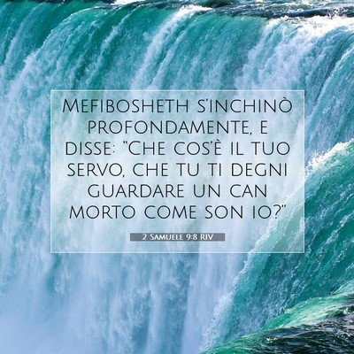 2 Samuele 9:8 RIV Immagine del Versetto della Bibbia