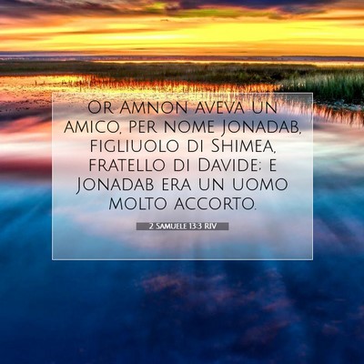 2 Samuele 13:3 RIV Immagine del Versetto della Bibbia