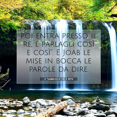 2 Samuele 14:3 RIV Immagine del Versetto della Bibbia