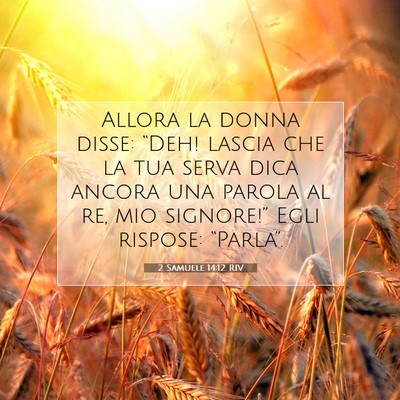2 Samuele 14:12 Versetto della Bibbia Spiegato