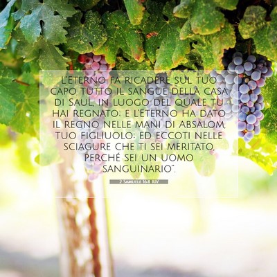 2 Samuele 16:8 RIV Immagine del Versetto della Bibbia