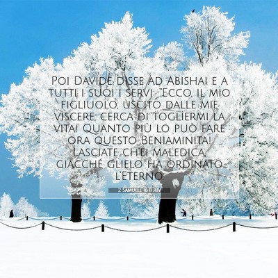 2 Samuele 16:11 RIV Immagine del Versetto della Bibbia
