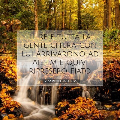 2 Samuele 16:14 RIV Immagine del Versetto della Bibbia
