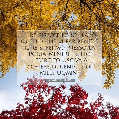 2 Samuele 18:4 RIV Immagine del Versetto della Bibbia