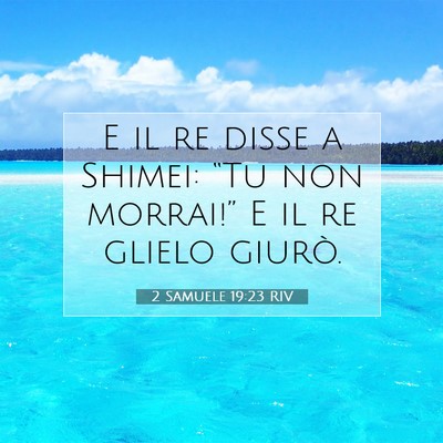 2 Samuele 19:23 Versetto della Bibbia Spiegato