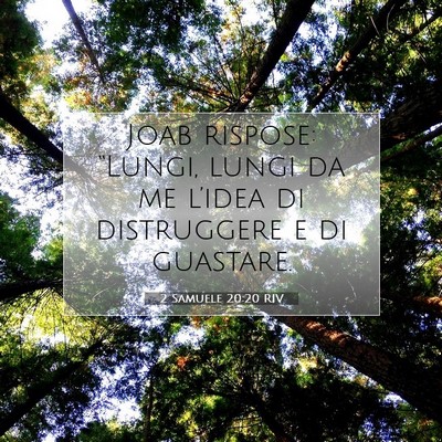 2 Samuele 20:20 RIV Immagine del Versetto della Bibbia