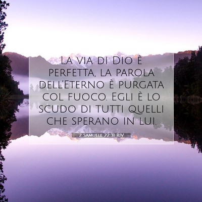 2 Samuele 22:31 RIV Immagine del Versetto della Bibbia