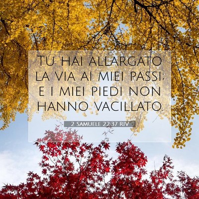 2 Samuele 22:37 RIV Immagine del Versetto della Bibbia