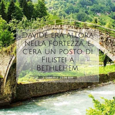 2 Samuele 23:14 RIV Immagine del Versetto della Bibbia