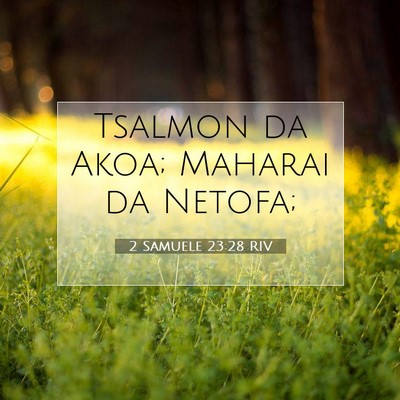2 Samuele 23:28 RIV Immagine del Versetto della Bibbia