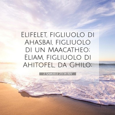 2 Samuele 23:34 RIV Immagine del Versetto della Bibbia