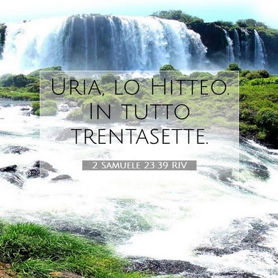 2 Samuele 23:39 RIV Immagine del Versetto della Bibbia