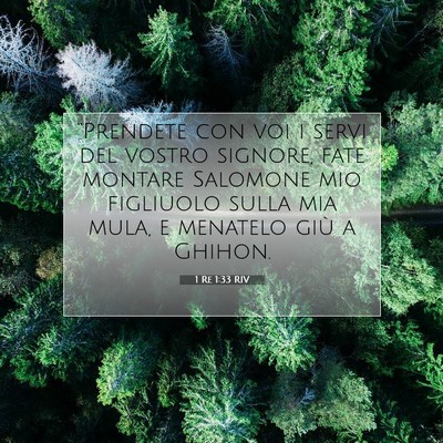 1 Re 1:33 Versetto della Bibbia Spiegato