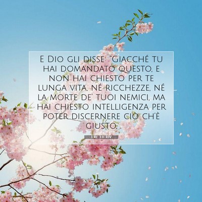 1 Re 3:11 RIV Immagine del Versetto della Bibbia