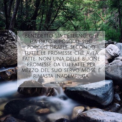 1 Re 8:56 Versetto della Bibbia Spiegato