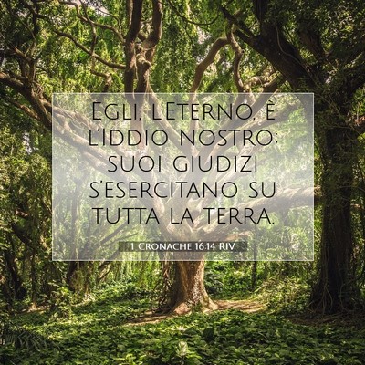 1 Cronache 16:14 Versetto della Bibbia Spiegato