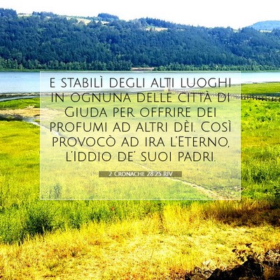 2 Cronache 28:25 RIV Immagine del Versetto della Bibbia