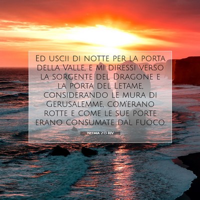 Neemia 2:13 RIV Immagine del Versetto della Bibbia