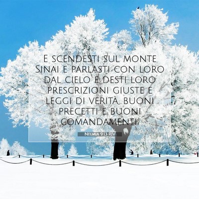 Neemia 9:13 RIV Immagine del Versetto della Bibbia