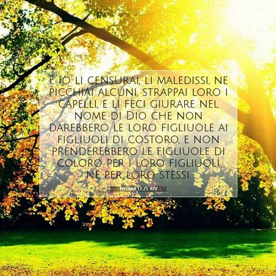 Neemia 13:25 RIV Immagine del Versetto della Bibbia
