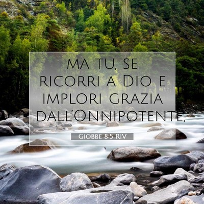 Giobbe 8:5 Versetto della Bibbia Spiegato