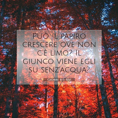 Giobbe 8:11 Versetto della Bibbia Spiegato
