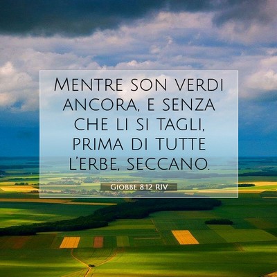Giobbe 8:12 Versetto della Bibbia Spiegato