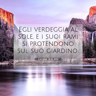 Giobbe 8:16 Versetto della Bibbia Spiegato