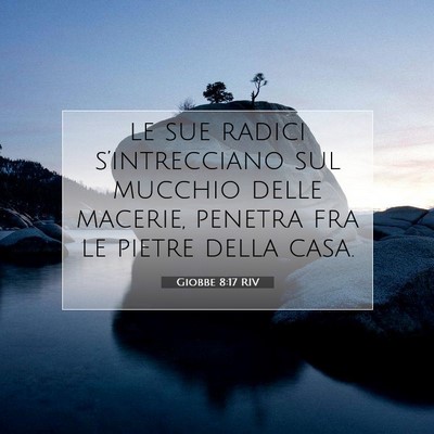 Giobbe 8:17 Versetto della Bibbia Spiegato
