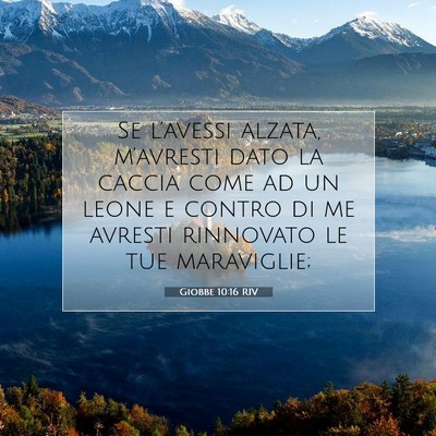 Giobbe 10:16 RIV Immagine del Versetto della Bibbia