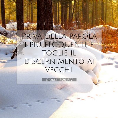 Giobbe 12:20 Versetto della Bibbia Spiegato