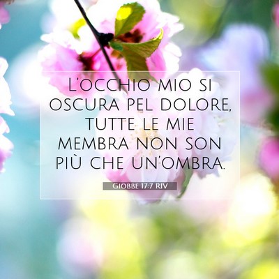 Giobbe 17:7 Versetto della Bibbia Spiegato