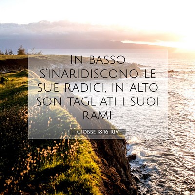 Giobbe 18:16 Versetto della Bibbia Spiegato