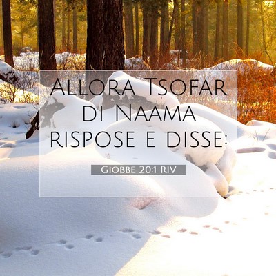 Giobbe 20:1 Versetto della Bibbia Spiegato