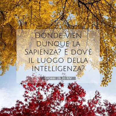 Giobbe 28:20 Versetto della Bibbia Spiegato