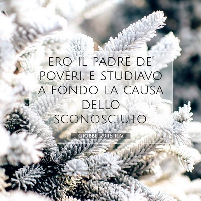 Giobbe 29:16 RIV Immagine del Versetto della Bibbia