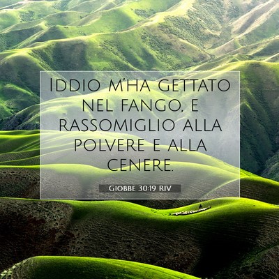 Giobbe 30:19 Versetto della Bibbia Spiegato
