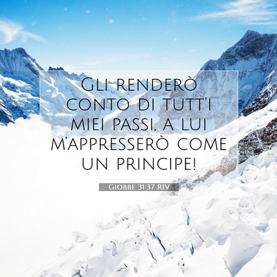 Giobbe 31:37 RIV Immagine del Versetto della Bibbia