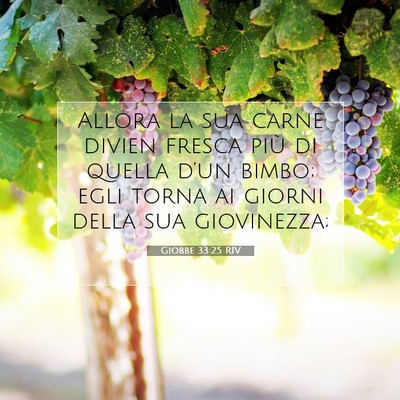 Giobbe 33:25 Versetto della Bibbia Spiegato