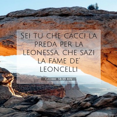 Giobbe 38:39 RIV Immagine del Versetto della Bibbia