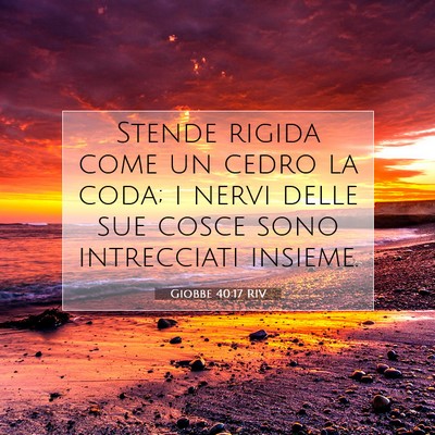 Giobbe 40:17 Versetto della Bibbia Spiegato