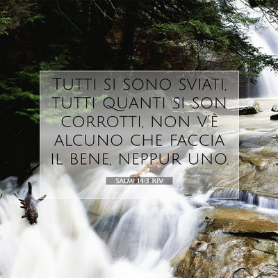 Salmi 14:3 RIV Immagine del Versetto della Bibbia