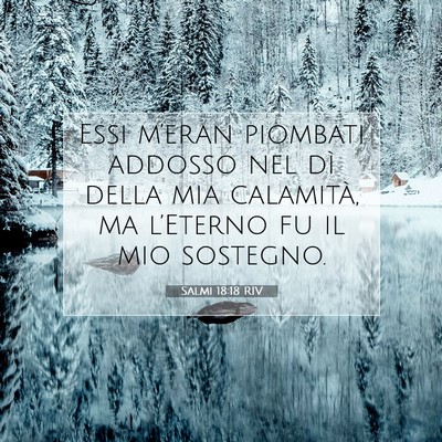 Salmi 18:18 RIV Immagine del Versetto della Bibbia