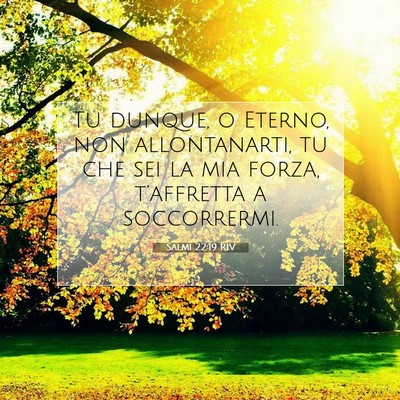 Salmi 22:19 RIV Immagine del Versetto della Bibbia