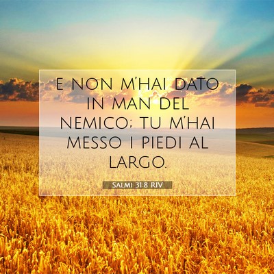 Salmi 31:8 RIV Immagine del Versetto della Bibbia