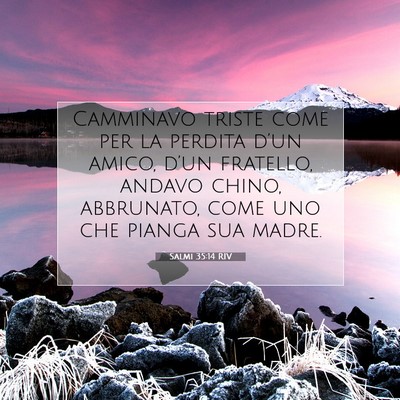 Salmi 35:14 Versetto della Bibbia Spiegato