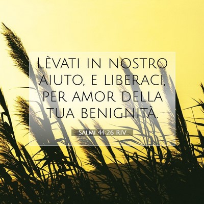 Salmi 44:26 Versetto della Bibbia Spiegato